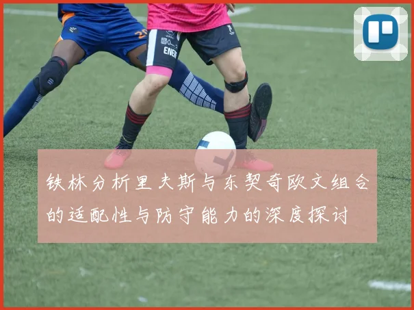 铁林分析里夫斯与东契奇欧文组合的适配性与防守能力的深度探讨
