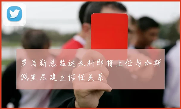 罗马新总监达米科即将上任与加斯佩里尼建立信任关系