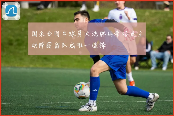 国米合同年球员大洗牌姆希塔良主动降薪留队成唯一选择