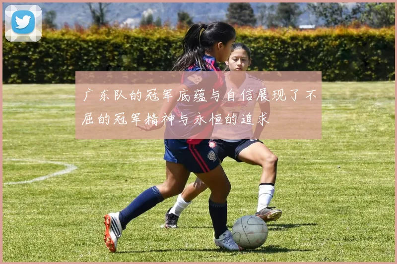 广东队的冠军底蕴与自信展现了不屈的冠军精神与永恒的追求