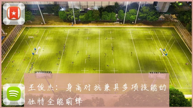 王俊杰：身高对抗兼具多项技能的独特全能前锋